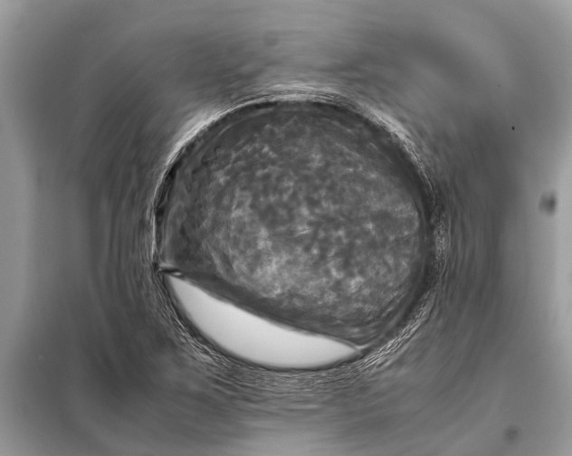 X0000098191267200805081039