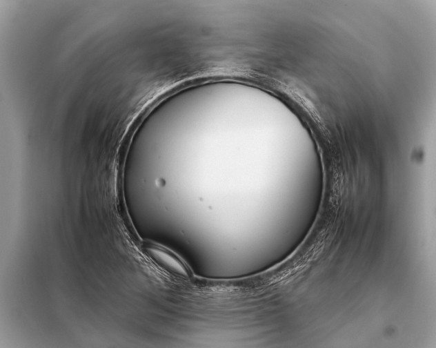 X0000098191268200805081039