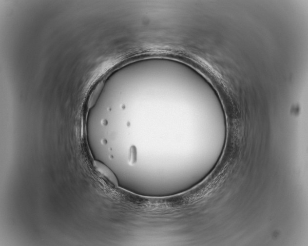 X0000098191269200805081039