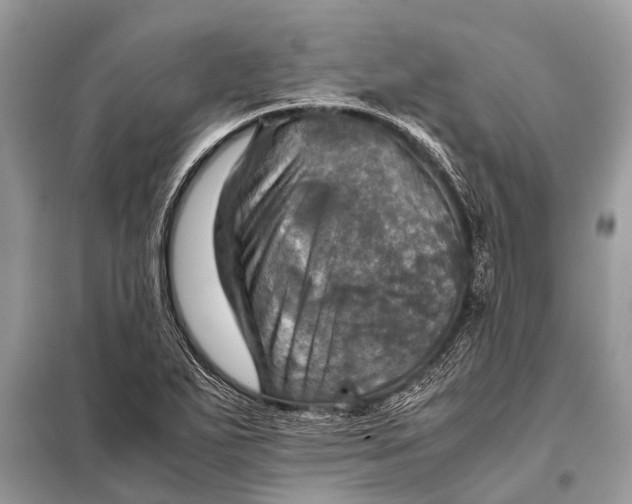 X0000098191271200805081039