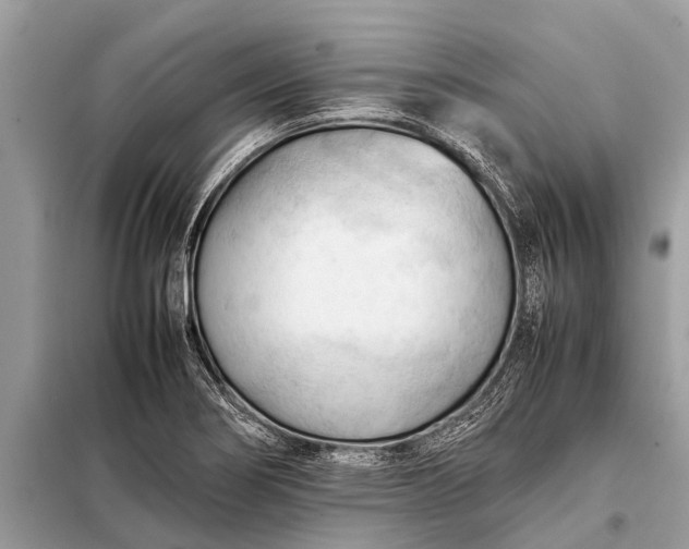 X0000098191274200805081039