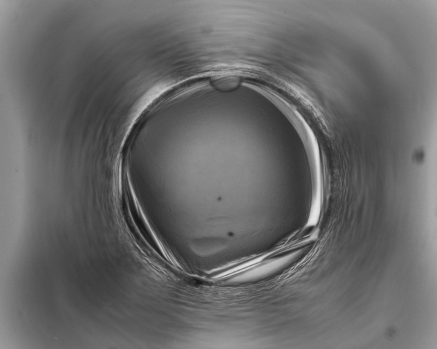 X0000098191275200805081039