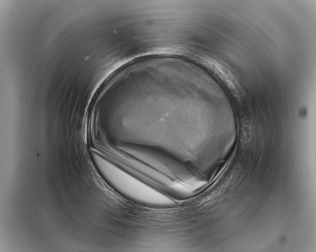 X0000098191276200805081039