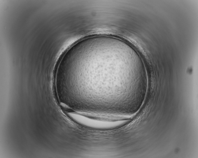 X0000098191277200805081039