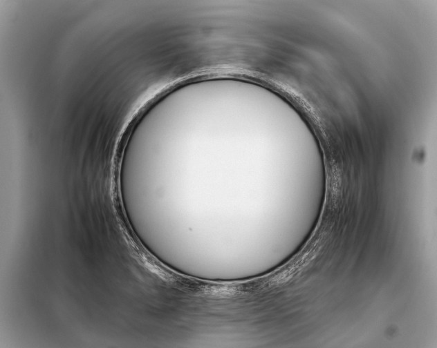 X0000098191278200805081039