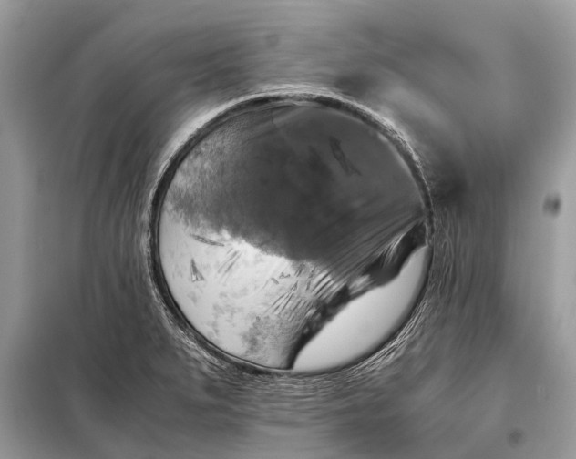 X0000098191279200805081039