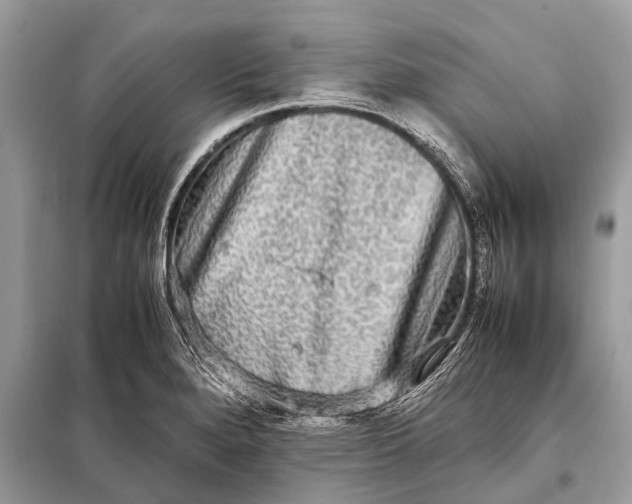 X0000098191280200805081039
