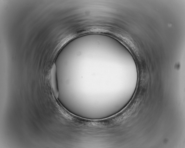 X0000098191281200805081039