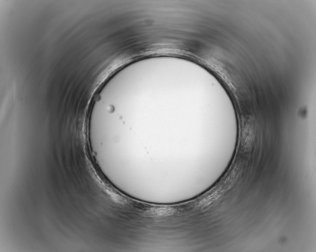 X0000098191282200805081039