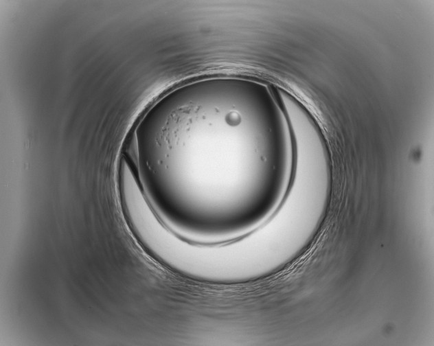 X0000098191283200805081039
