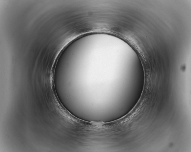 X0000098191284200805081039