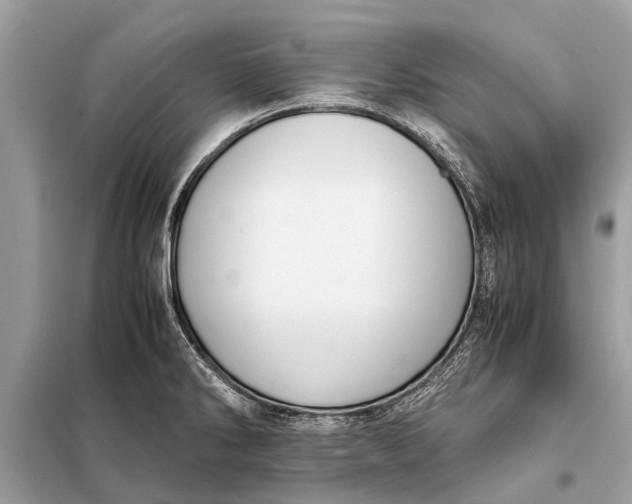 X0000098191286200805081039