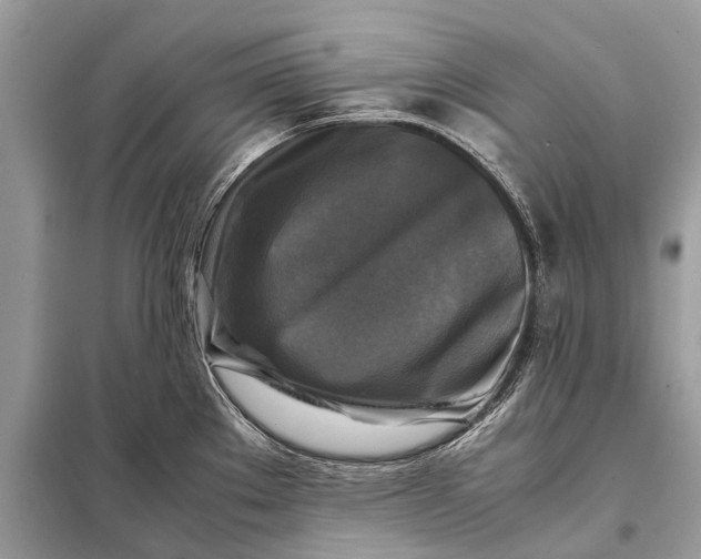 X0000098191289200805081039