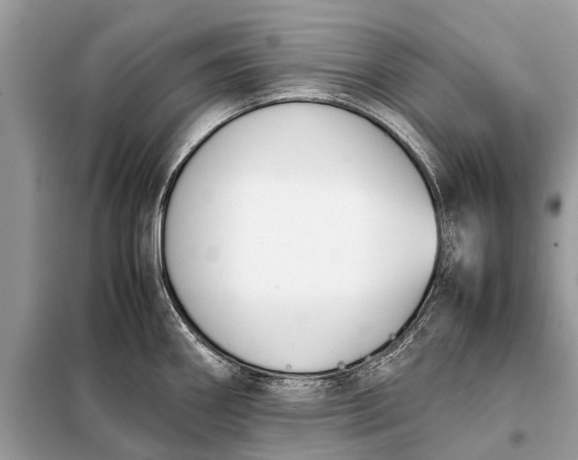 X0000098191290200805081039