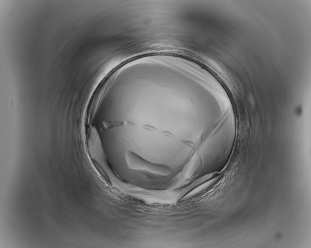 X0000098191291200805081039