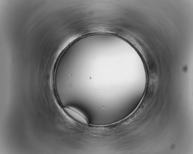 X0000098191293200805081039