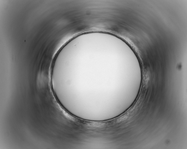 X0000098191294200805081039