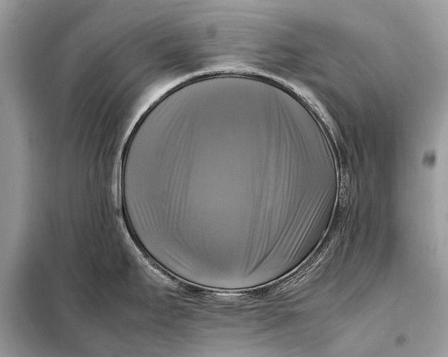 X0000098191295200805081039