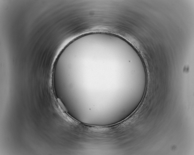 X0000098191296200805081039