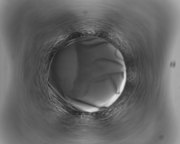 X0000098191297200805081038