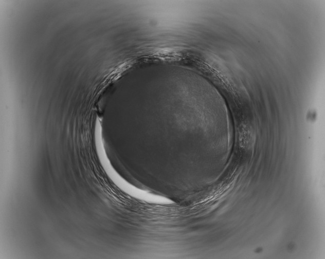 X0000098191298200805081038