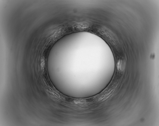 X0000098191299200805081038