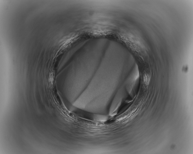 X0000098191300200805081038