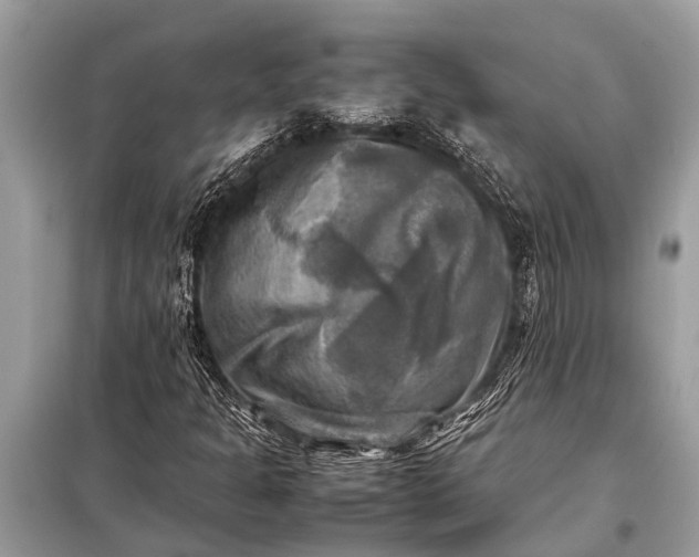 X0000098191301200805081038