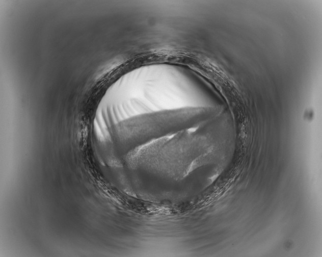 X0000098191302200805081038