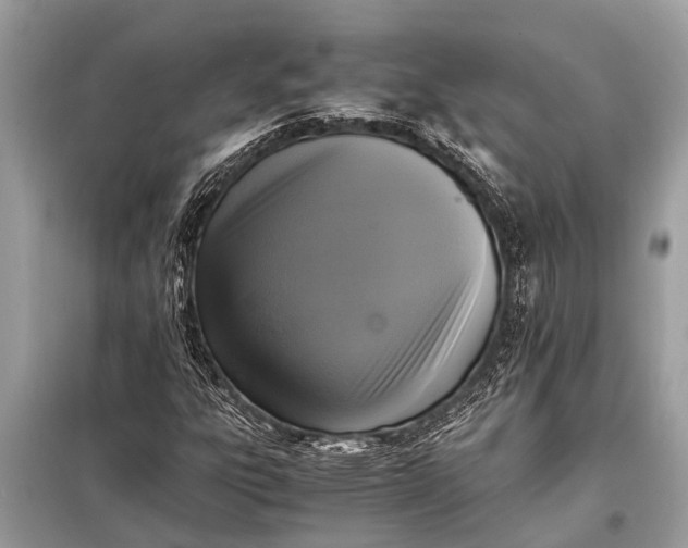 X0000098191303200805081038