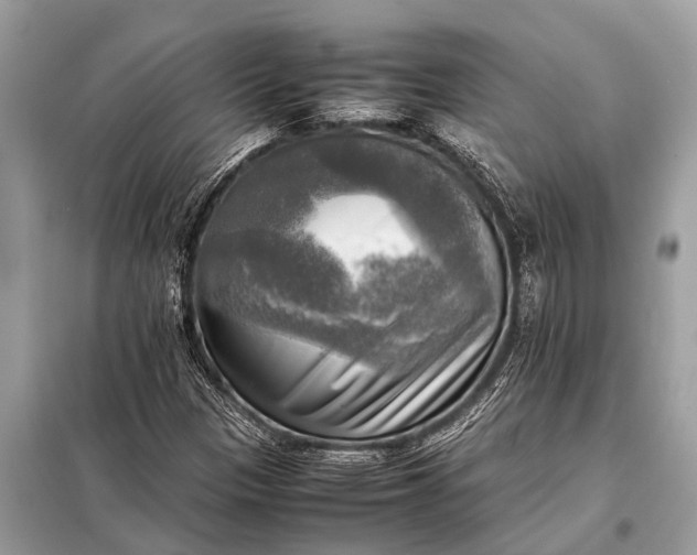 X0000098191305200805081038