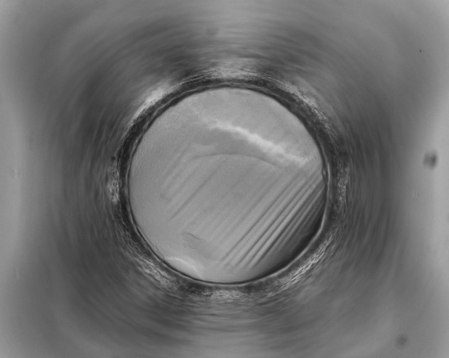 X0000098191306200805081038
