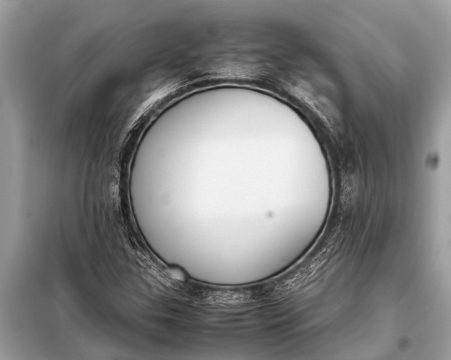 X0000098191307200805081038