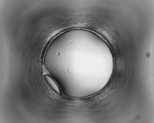 X0000098191308200805081038