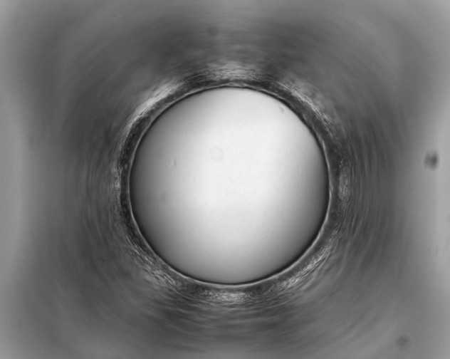 X0000098191309200805081038