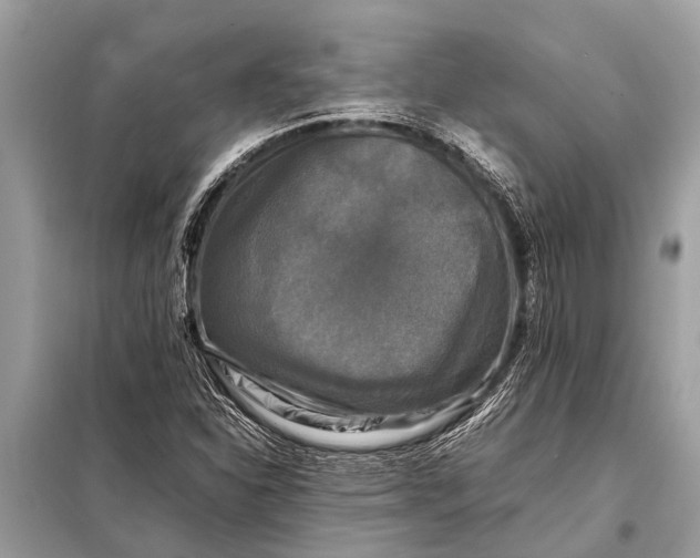 X0000098191310200805081038