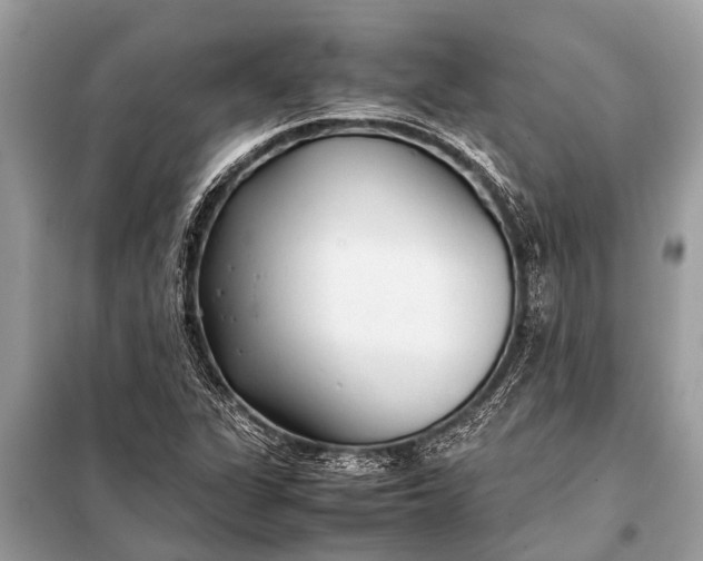 X0000098191311200805081038