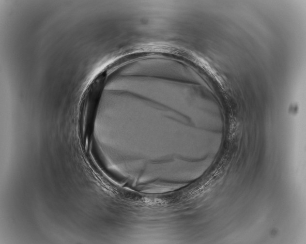 X0000098191312200805081038