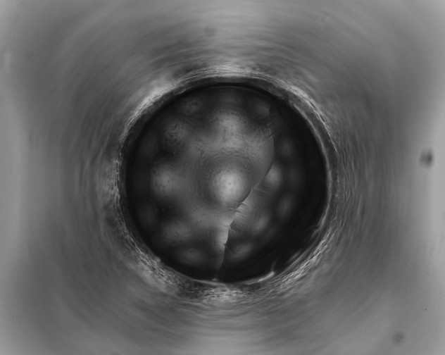 X0000098191314200805081038