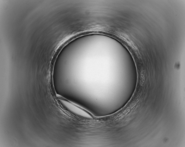 X0000098191316200805081038