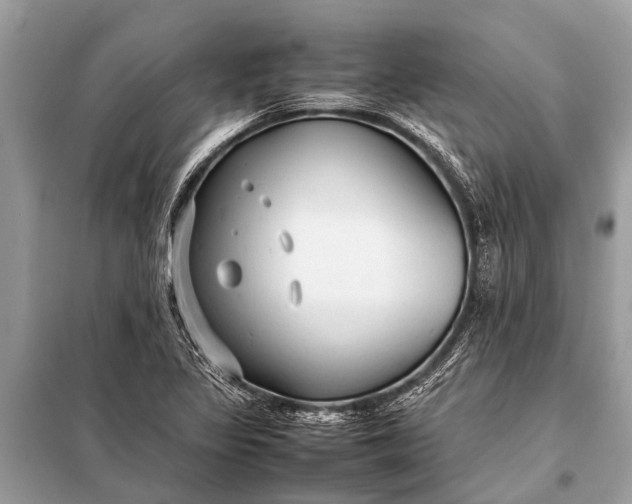 X0000098191317200805081039