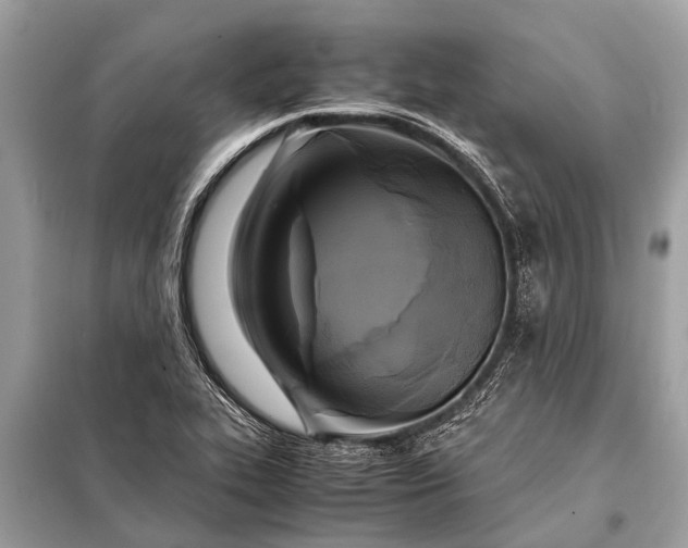 X0000098191319200805081039