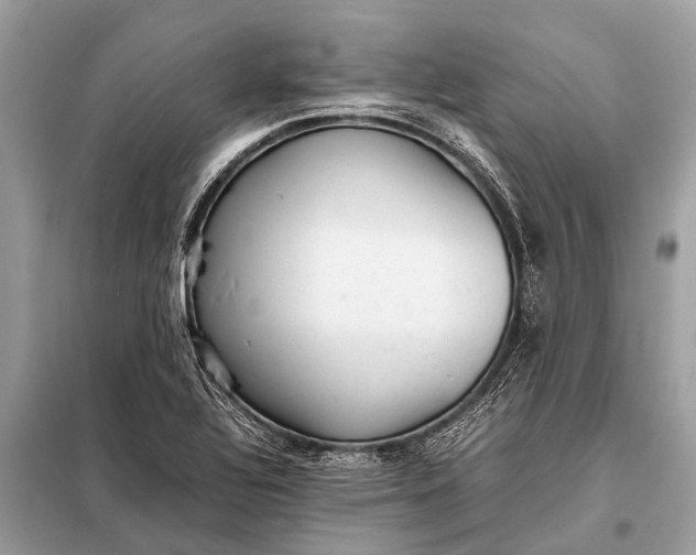 X0000098191320200805081039