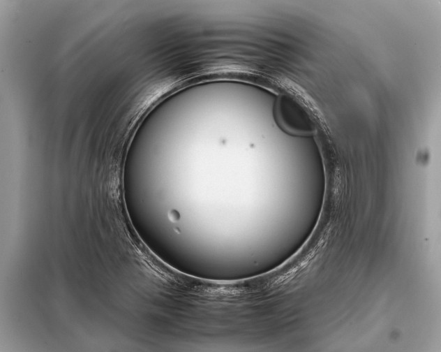 X0000098191321200805081039