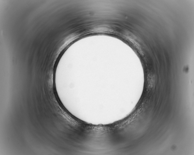 X0000098191322200805081039