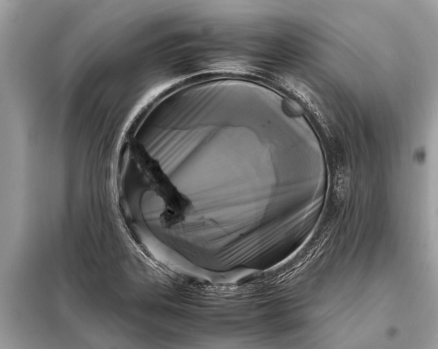 X0000098191323200805081039
