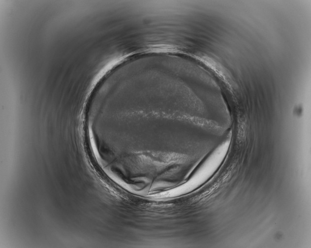 X0000098191325200805081039