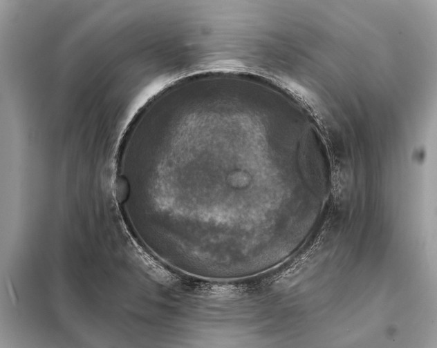 X0000098191326200805081039