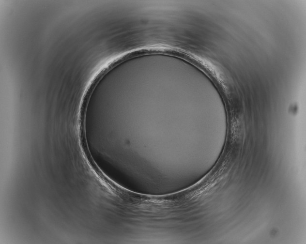 X0000098191327200805081039