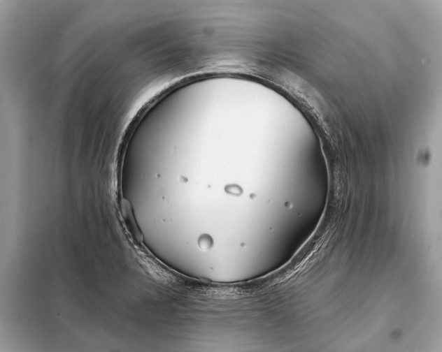 X0000098191328200805081039